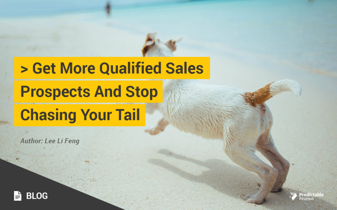 Get More Qualified Sales Prospects And Stop Chasing Your Tail