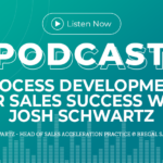 341: Process Development for Sales Success with Josh Schwartz
