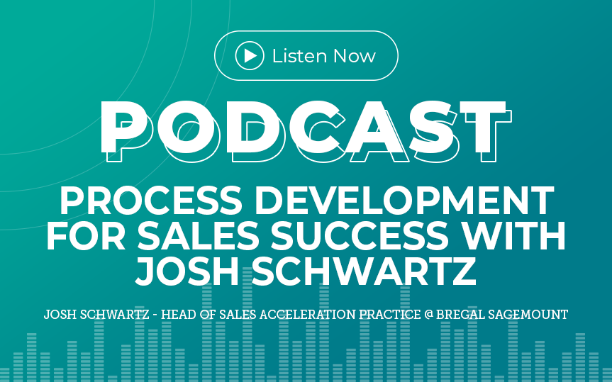 341: Process Development for Sales Success with Josh Schwartz